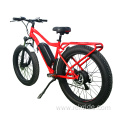 Wide Tyres excellent cross performance electric bicycle